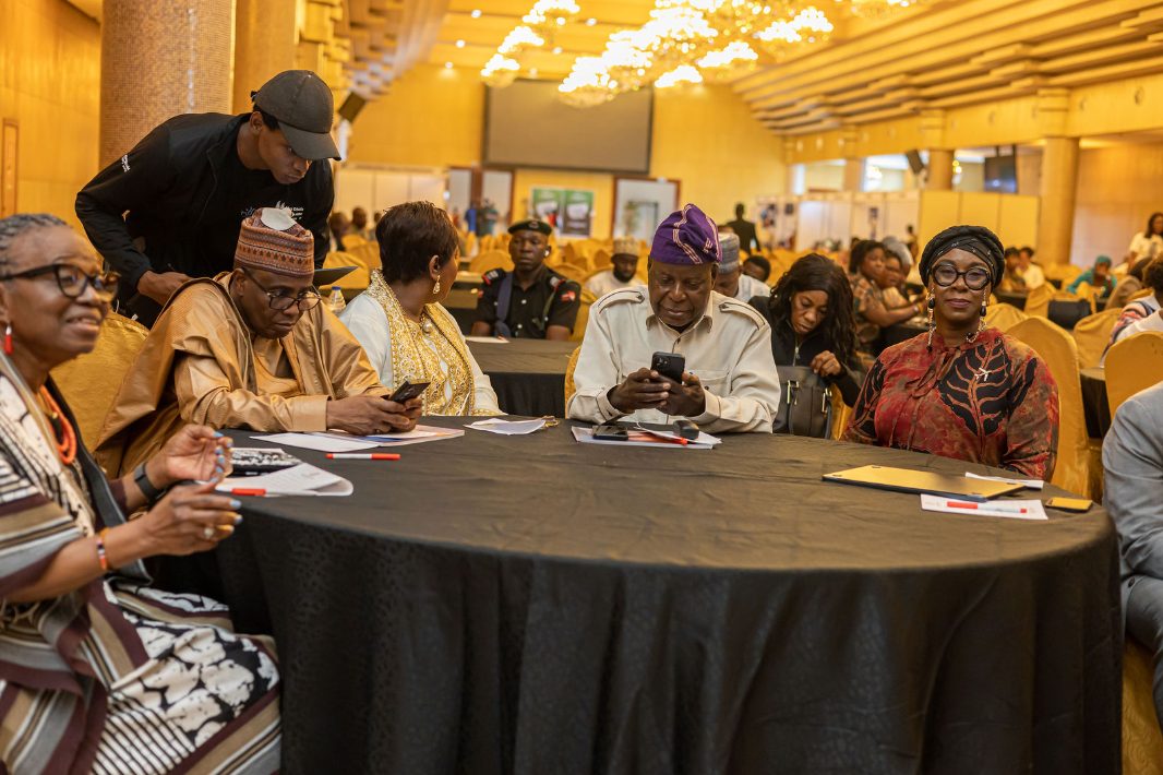 Delegates at a NiDCC working session