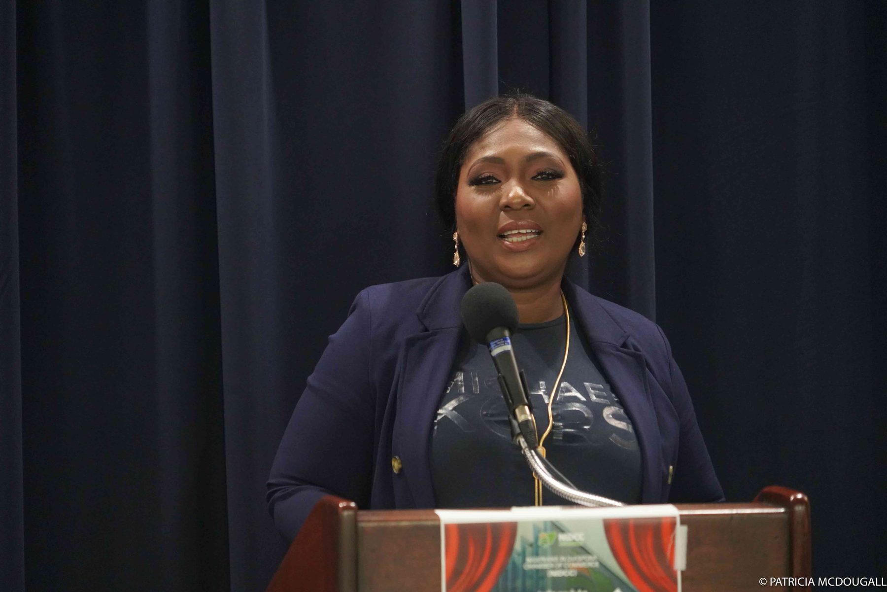 Speaker at the NiDCC unveiling